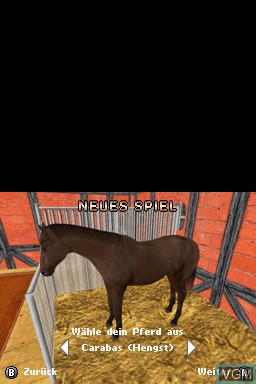 In-game screen of the game 4 in 1 - Meine Tierarztpraxis + Meine Tierpension + Mein Gestuet + Mein Pferd on Nintendo DS
