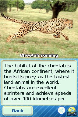 In-game screen of the game Animal Life - Africa on Nintendo DS