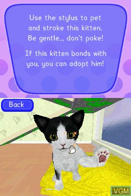 In-game screen of the game Catz 2 on Nintendo DS