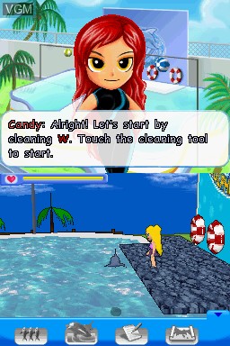 In-game screen of the game Dolphin Trainer on Nintendo DS