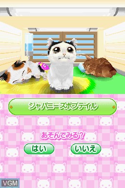 In-game screen of the game Kawaii Koneko DS 2 on Nintendo DS