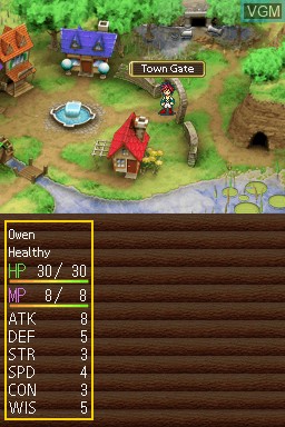 In-game screen of the game Master of the Monster Lair on Nintendo DS