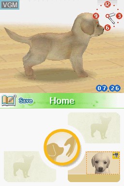 In-game screen of the game Nintendogs - Best Friends on Nintendo DS