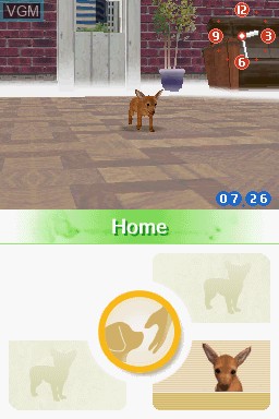 In-game screen of the game Nintendogs - Lab & Friends on Nintendo DS