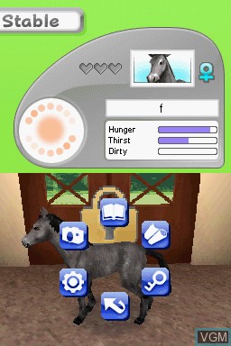 In-game screen of the game Animalz - Una Familia de Horsez on Nintendo DS