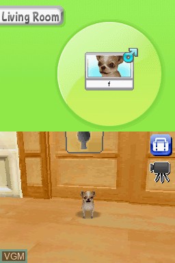 In-game screen of the game Petz - My Puppy Family on Nintendo DS