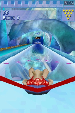 In-game screen of the game Polar Bowler on Nintendo DS