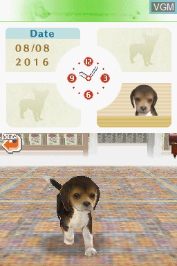 In-game screen of the game Nintendogs - Dalmatian & Friends on Nintendo DS