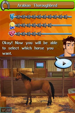 In-game screen of the game Petz - Horsez Family on Nintendo DS