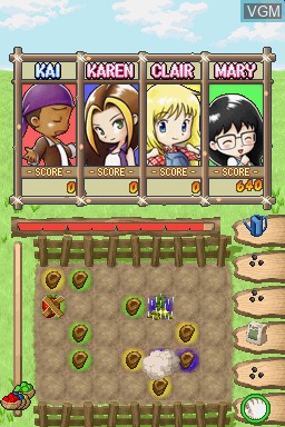 In-game screen of the game Puzzle de Harvest Moon on Nintendo DS