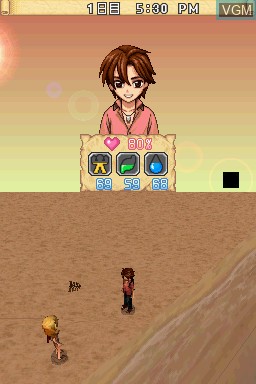 In-game screen of the game Survival Kids - Chiisana Shima no Ookina Himitsu!? on Nintendo DS