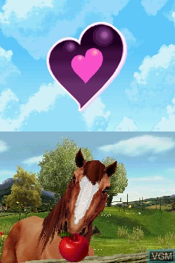In-game screen of the game Ellen Whitaker's Horse Life on Nintendo DS