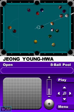 In-game screen of the game World Cup of Pool on Nintendo DS