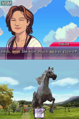 In-game screen of the game Horse Life 3 on Nintendo DS