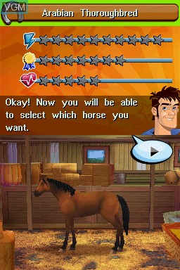 In-game screen of the game Imagine - Champion Rider on Nintendo DS