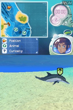 In-game screen of the game Dolphin Island - Underwater Adventures on Nintendo DS