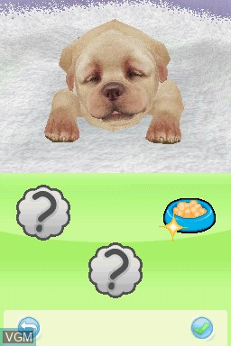 In-game screen of the game Petz - Nursery on Nintendo DS