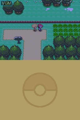 In-game screen of the game Pokemon Platinum Version on Nintendo DS