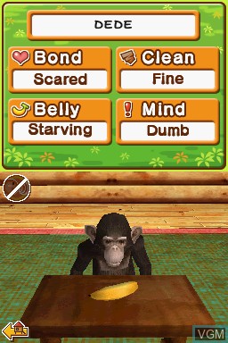 In-game screen of the game My Pet Chimp on Nintendo DS