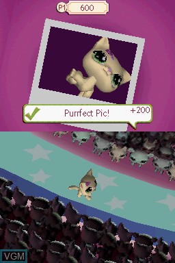 In-game screen of the game Littlest Pet Shop 3 - Biggest Stars - Purple Team on Nintendo DS