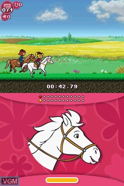 In-game screen of the game Bibi & Tina - Jump & Ride on Nintendo DS