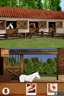 In-game screen of the game Discovery Kids - Pony Paradise on Nintendo DS