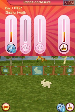 In-game screen of the game My Animal Centre on Nintendo DS