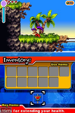 Shantae - Risky's Revenge
