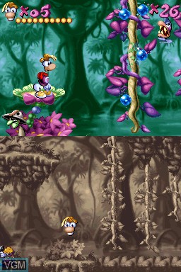 In-game screen of the game Rayman on Nintendo DSi