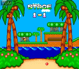 Menu screen of the game New Adventure Island on NEC PC Engine