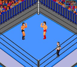 In-game screen of the game Fire ProWrestling 3 - Legend Bout on NEC PC Engine