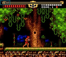 In-game screen of the game Legendary Axe, The on NEC PC Engine