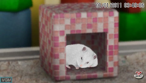 Menu screen of the game Petz - Hamsterz Bunch on Sony PSP
