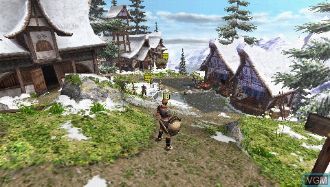 In-game screen of the game Monster Hunter Freedom 2 on Sony PSP