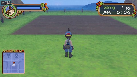 In-game screen of the game Harvest Moon - Hero of Leaf Valley on Sony PSP