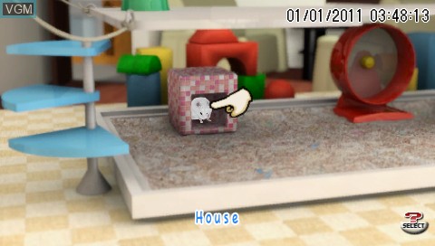 In-game screen of the game Petz - Hamsterz Bunch on Sony PSP