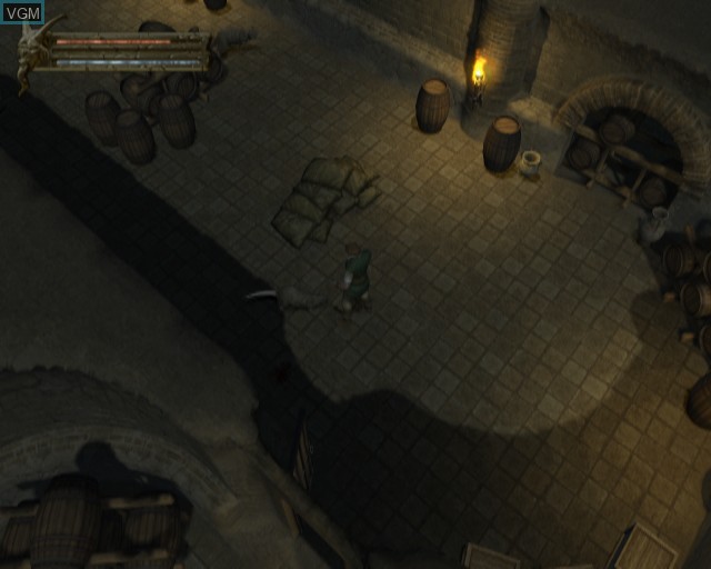 In-game screen of the game Baldur's Gate - Dark Alliance on Sony Playstation 2