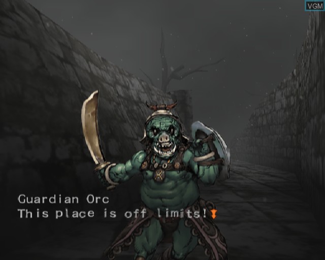 In-game screen of the game Wizardry - Tale of the Forsaken Land on Sony Playstation 2