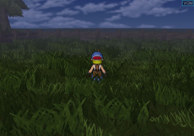 In-game screen of the game Harvest Moon - Save the Homeland on Sony Playstation 2