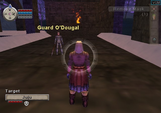 In-game screen of the game EverQuest Online Adventures on Sony Playstation 2