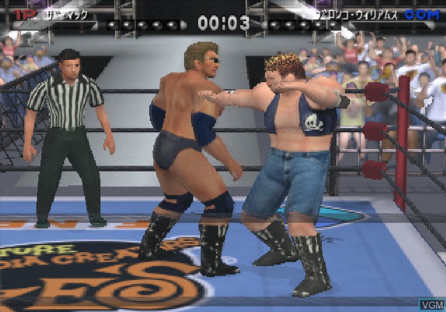 In-game screen of the game Online Pro Wrestling on Sony Playstation 2