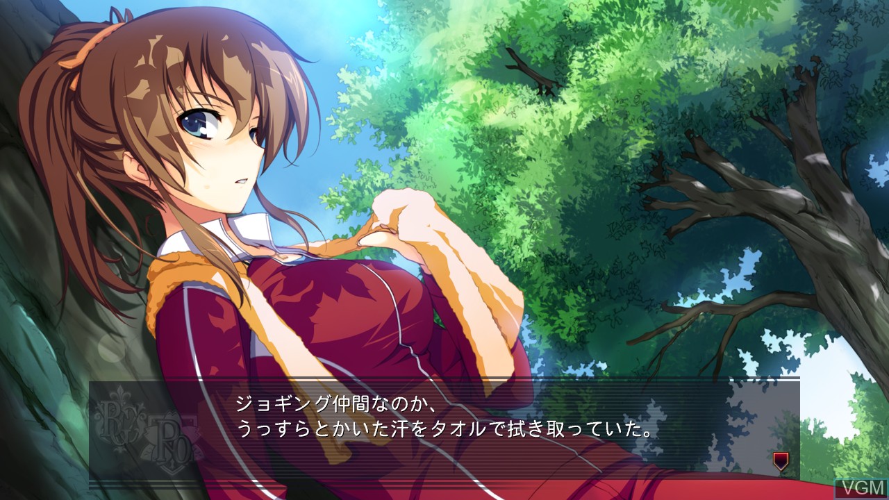 In-game screen of the game Akatsuki no Goei Trinity on Sony Playstation 3