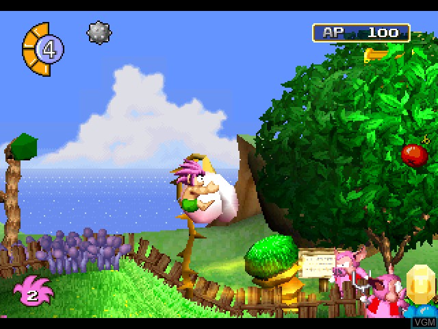 In-game screen of the game Tomba! on Sony Playstation