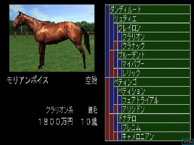 In-game screen of the game Breeding Stud '99 on Sony Playstation