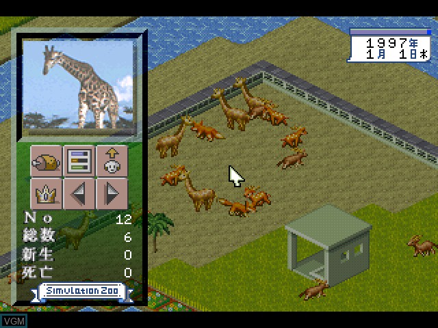 Simulation Zoo