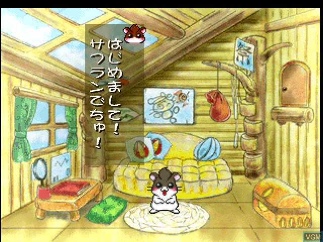 In-game screen of the game Dokodemo Hamster B! Quick Club on Sony Playstation