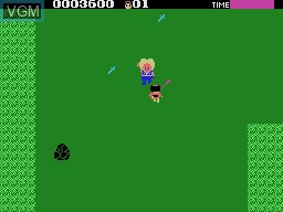 In-game screen of the game Ninja Princess on Sega SG-1000