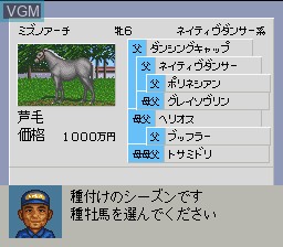 Menu screen of the game Derby Stallion 96 on Nintendo Super NES