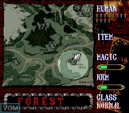 Menu screen of the game Dragon's Earth on Nintendo Super NES