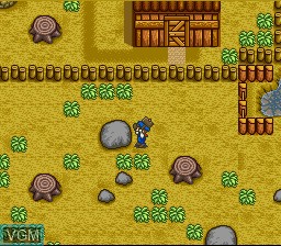 Menu screen of the game Harvest Moon on Nintendo Super NES